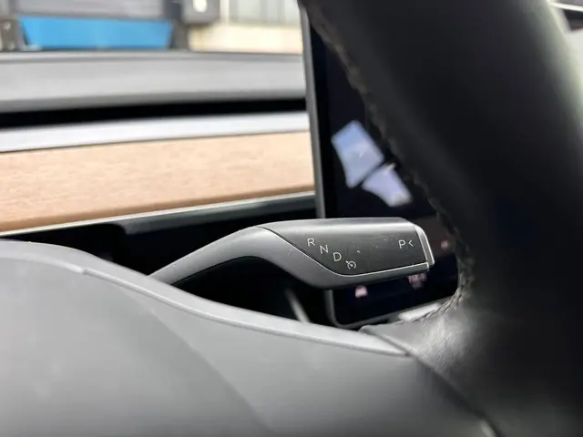 Tesla Model 3 Standard RWD Plus 60 kWh 2020 Elektrisch 15