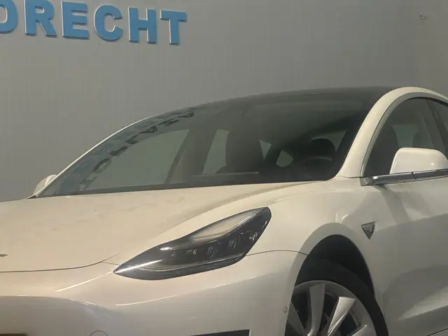Tesla Model 3 Standard RWD Plus 60 kWh 2019 Elektrisch 5