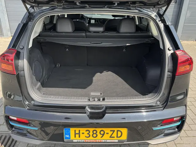 Kia e-Niro EXECUTIVELINE 64 kWh 2020 Elektrisch 13