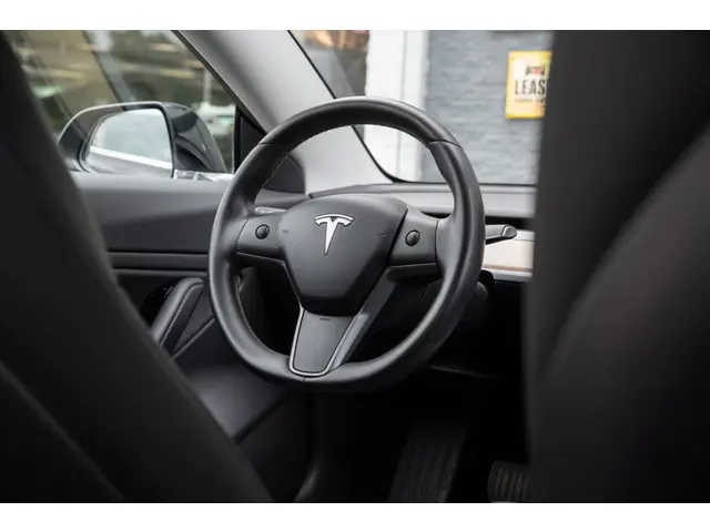 Tesla Model 3 Long Range AWD 75 kWh 2019 Elektrisch 20