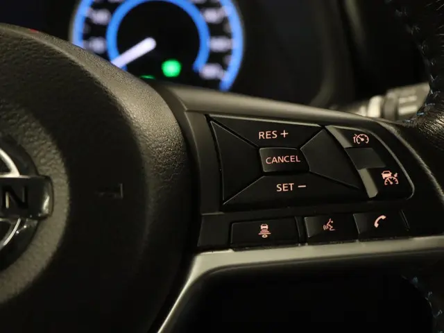 Nissan Leaf N-Connecta 40 kWh 2021 Elektrisch 29