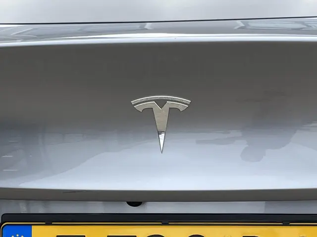Tesla Model Y Long Range AWD 75 kWh 2023 Elektrisch 50