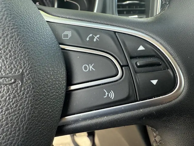 Renault Scénic 1.3 TCe Intens 2019 Benzine 20