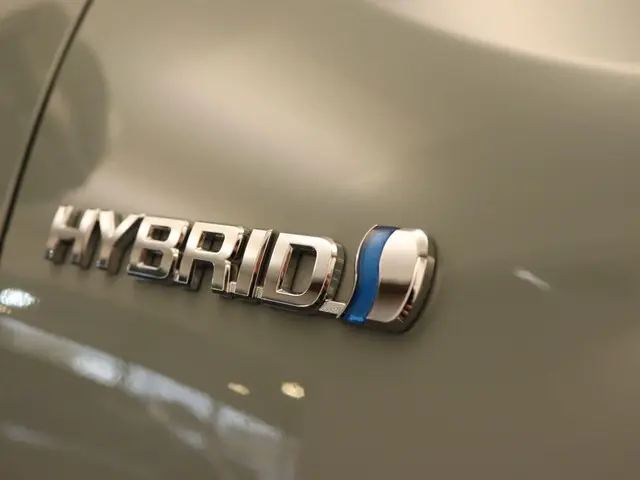 Toyota RAV4 2.5 Hybrid Dynamic 2021 Hybride Benzine 11