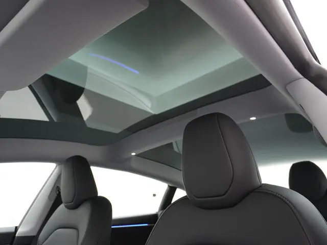 Tesla Model 3 Long Range AWD 78 kWh 2023 Elektrisch 20