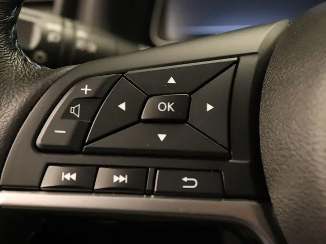 Nissan Leaf e+ Tekna 62 kWh 2019 Elektrisch 28
