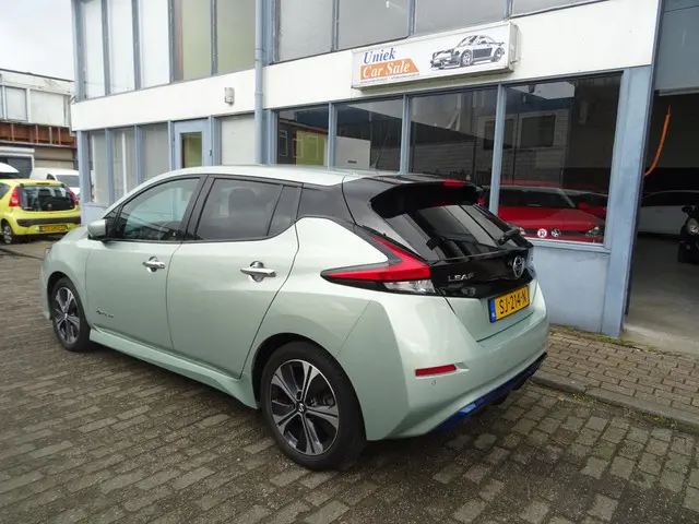 Nissan Leaf 3