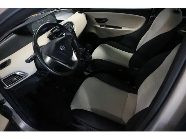 Lancia Ypsilon 1.2 Gold / LEUK MODEL ! ! ! 2014 Benzine 2