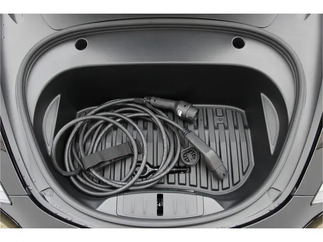 Tesla Model 3 Standard RWD Plus 60 kWh 2022 Elektrisch 39