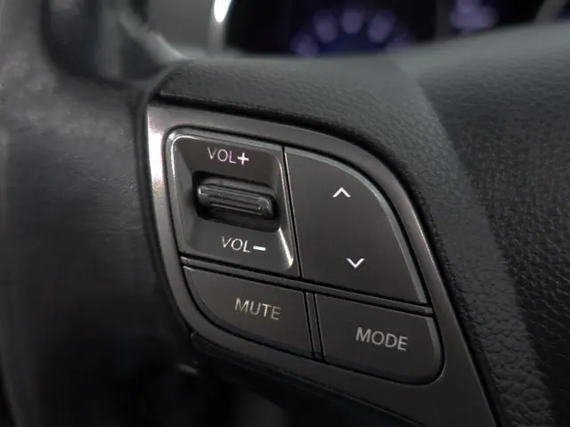 Hyundai Santa Fe 2.4i GDI Business Edition 2013 Benzine 15