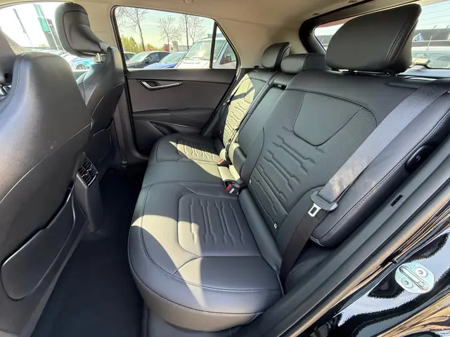 Kia Niro EV DynamicPlusLine 64.8 kWh 2024 Elektrisch 17