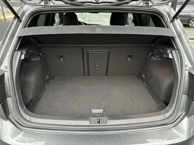 Volkswagen Golf 2.0 TSI GTI Performance 2019 Benzine 12