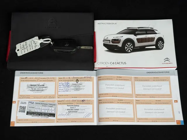 Citroën C4 Cactus 1.2 PureTech Shine 2016 Benzine 25
