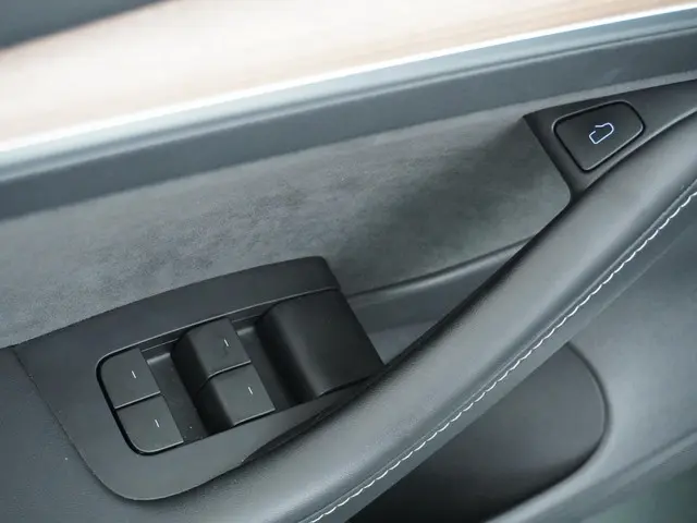 Tesla Model 3 Long Range RWD 75 kWh 2023 Elektrisch 18
