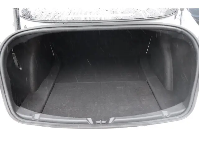 Tesla Model 3 Long Range AWD 75 kWh 2021 Elektrisch 17