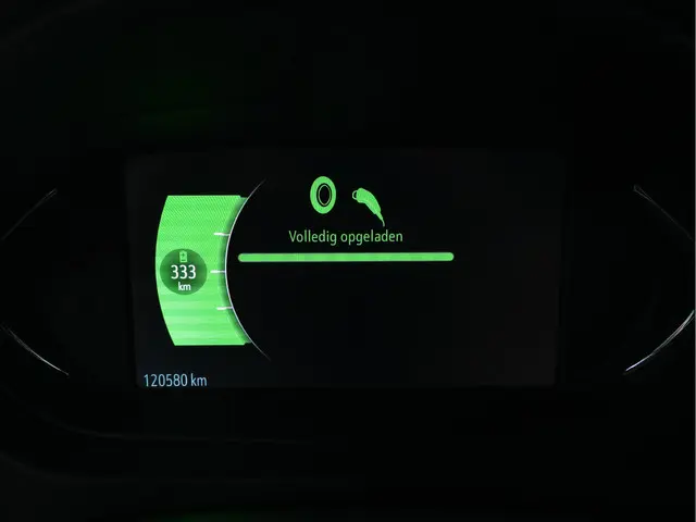 Opel Ampera-e Business Executive 60 kWh 2019 Elektrisch 15