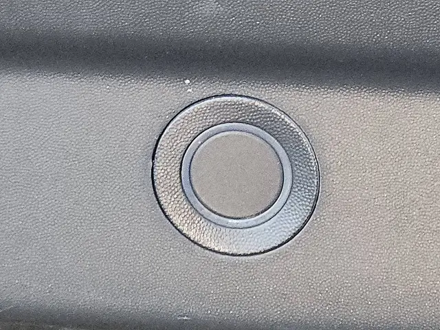 Renault Trafic 2.0 DCI 2022 Diesel 14