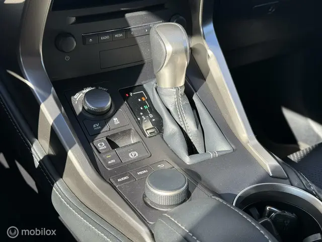 Lexus NX 300h|Leer|Camera|Rijklaar 2017 Hybride Benzine 18