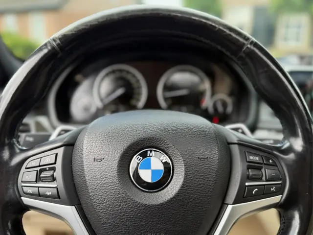 BMW X6 5.0 X-DRIVE HIGH EXECUTIVE 2014 Benzine 32