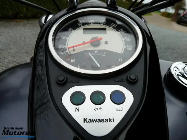 Kawasaki VN 900 Custom 2013 Benzine 31