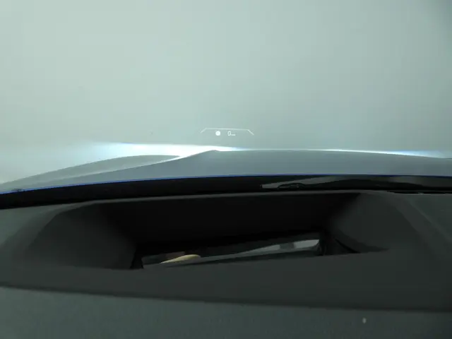 BMW 3 Serie Touring 320i 2024 Benzine 32