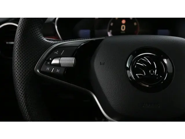 Škoda Fabia 1.0 TSI 95pk Monte Carlo 2024 Benzine 23