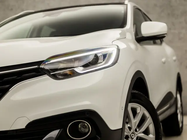 Renault Kadjar 1.2 TCe Intens Sport 2017 Benzine 12