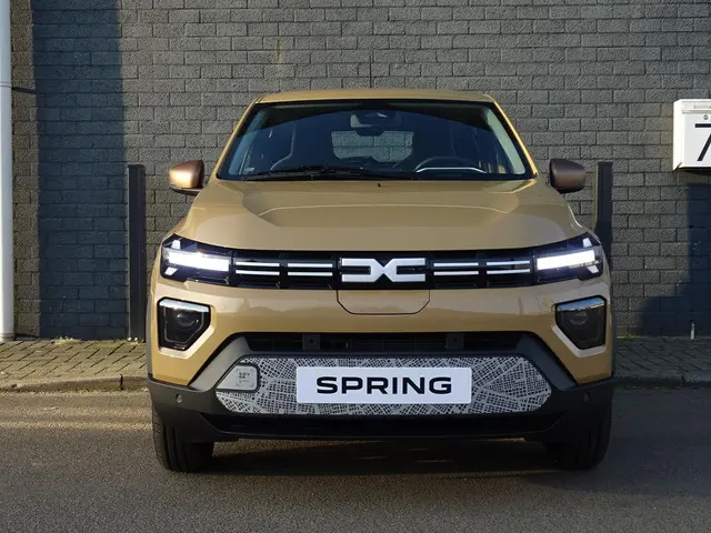 Dacia Spring 3