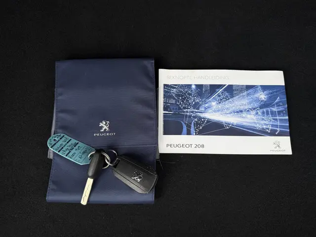 Peugeot 208 1.2 PureTech Signature 2019 Benzine 25