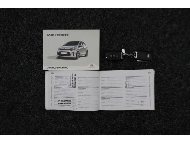 Kia Picanto 1.0 CVVT EconomyPlusLine 2019 Benzine 38