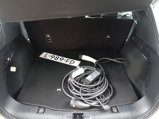 Ford Kuga 2.5 PHEV Vignale Aut- 2021 Hybride Benzine 41