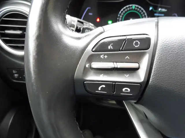 Hyundai Kona EV Premium 64 kWh SOH 98% 2020 Elektrisch 24