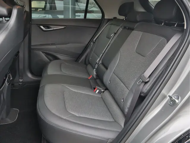 Kia Niro EV DynamicPlusLine 64.8 kWh 2022 Elektrisch 21
