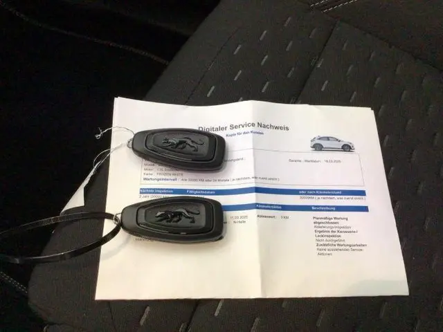 Ford Puma 1.0 EcoBoost Hybrid Titanium 2025 Benzine 10