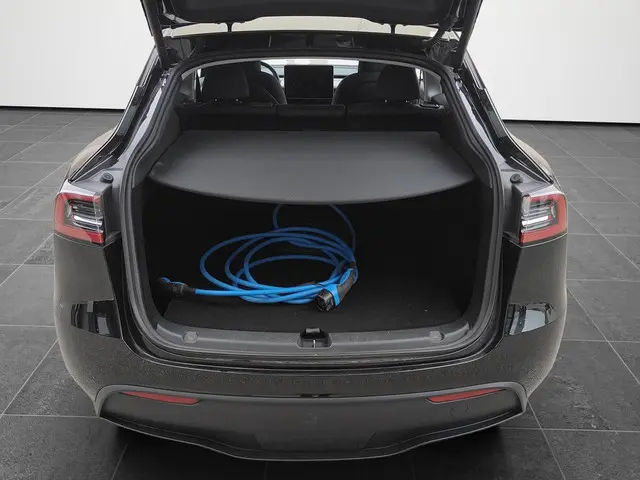 Tesla Model Y Long Range AWD 75 kWh 2023 Elektrisch 8