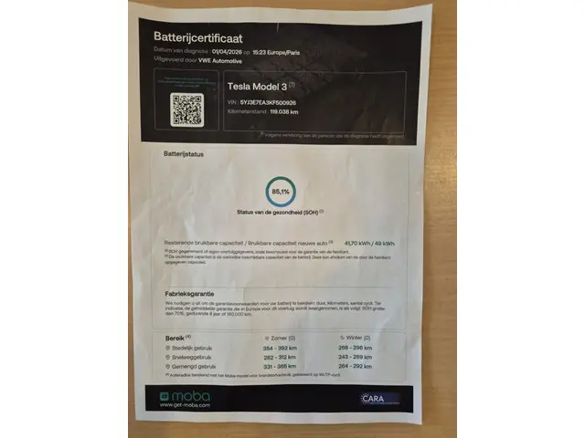 Tesla Model 3 Standard RWD Plus 60 kWh 2019 Elektrisch 14