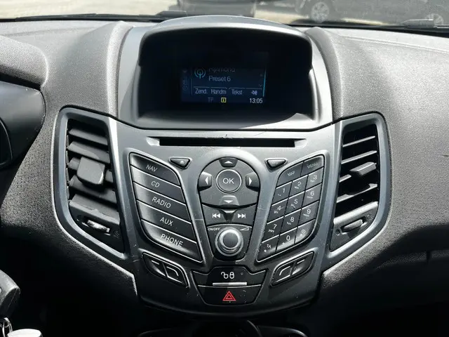 Ford Fiesta 1.0 White Edition 2015 Benzine 14