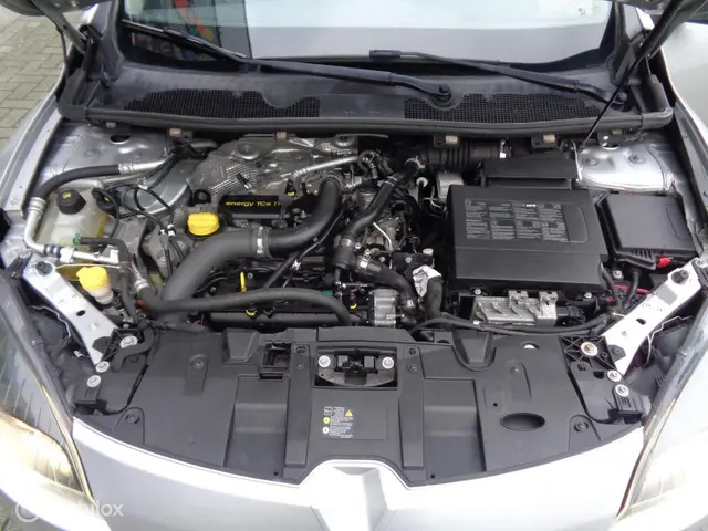Renault Mégane Coupé 1.2 TCe Dynamique 2013 Benzine 21