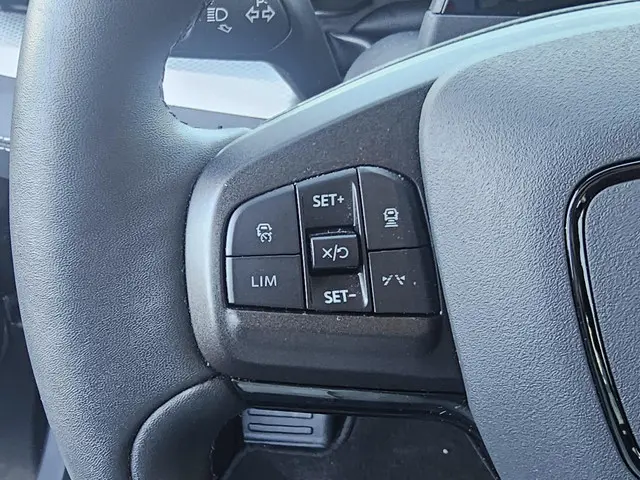 Ford Mustang Mach-E RWD 75 kWh 2021 Elektrisch 16