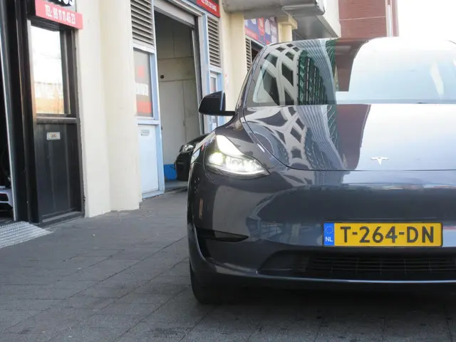 Tesla Model Y RWD 58 kWh 2023 Elektrisch 8