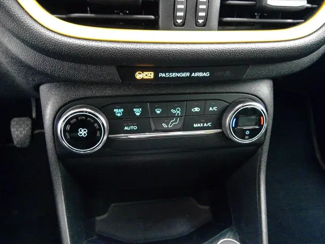 Ford Fiesta 1.0 EcoBoost Active 2019 Benzine 10