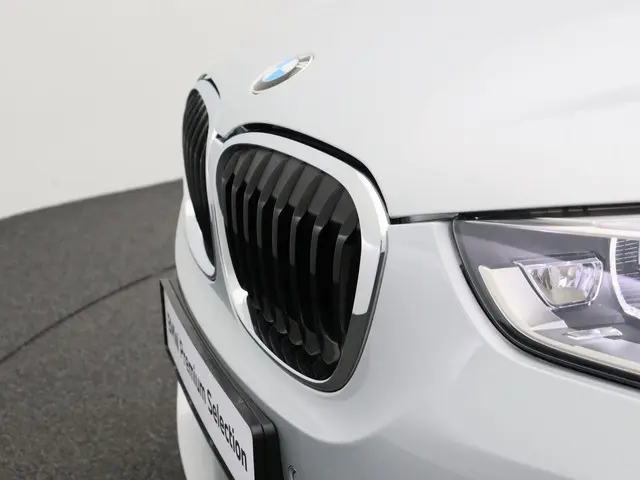 BMW X1 sDrive20i 2019 Benzine 8