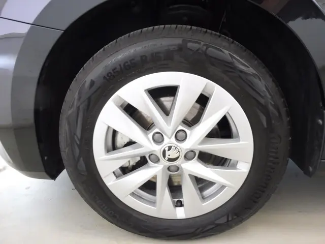 Škoda Fabia 1.0 TSI Business Edition 2023 Benzine 19