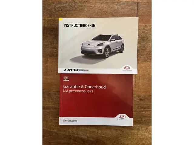 Kia e-Niro ExecutiveLine 64 kWh 2020 Elektrisch 42