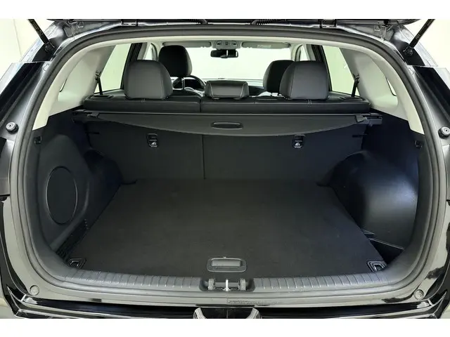 Kia e-Niro ExecutiveLine 64 kWh 2021 Elektrisch 10