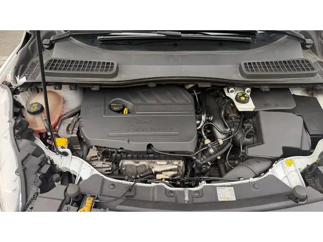 Ford Kuga 1.5 EcoBoost Trend Ultimate 2019 Benzine 13