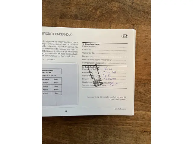 Kia e-Niro ExecutiveLine 64 kWh 2020 Elektrisch 45