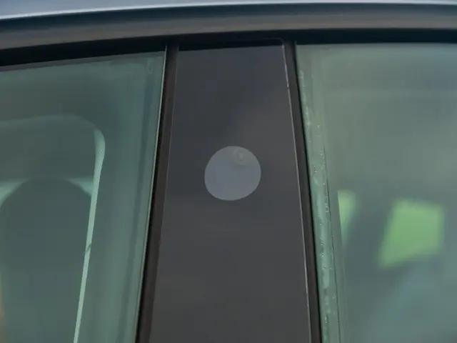 Tesla Model 3 RWD 60 kWh 2024 Elektrisch 54