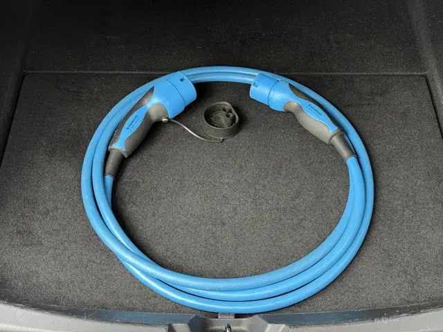 Tesla Model 3 Long Range AWD Dual 2020 Elektrisch 9