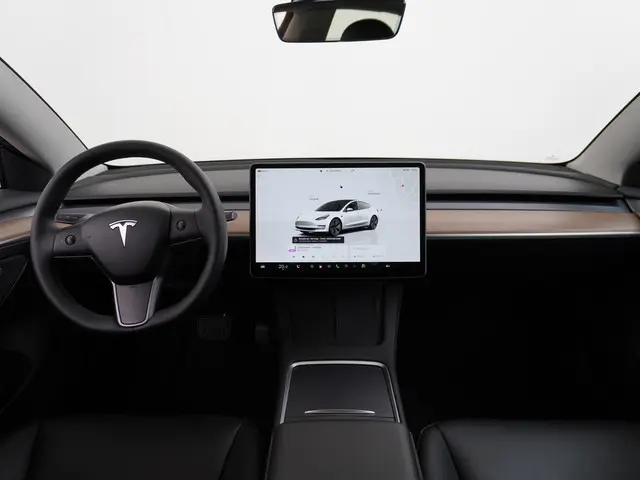 Tesla Model 3 Long Range RWD 75 kWh 2023 Elektrisch 23